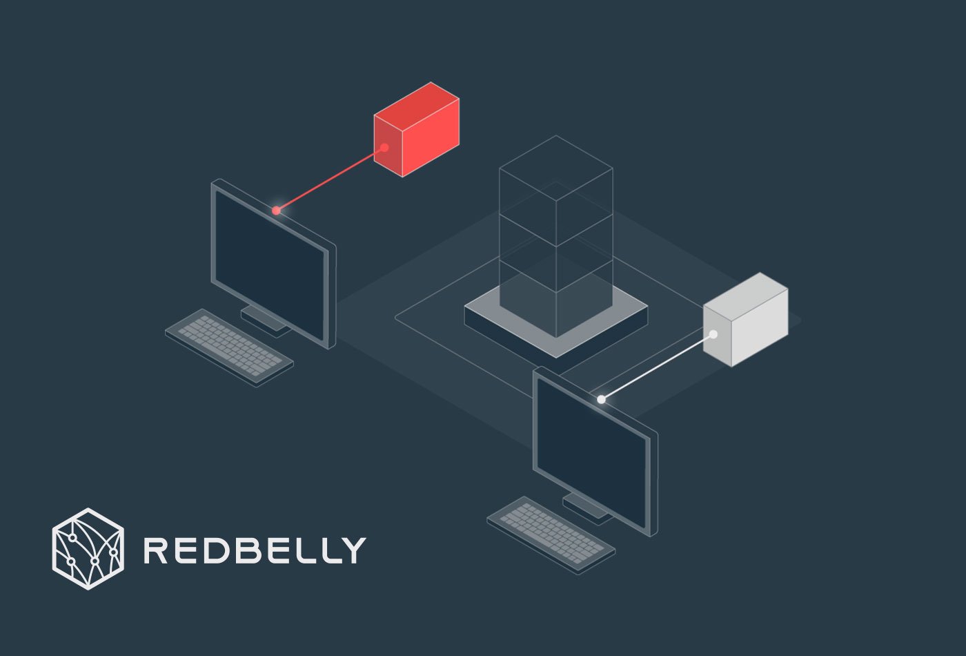 Redbelly-Blockchain-Solution